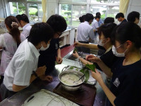 DSC01065