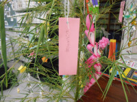 DSCN1447