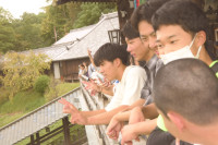 nigatsudo