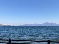青松浜へ続く道